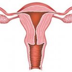 uterine rabies symptoms in women