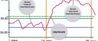 График базальной температуры - методы построения и расшифровки