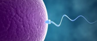 Как происходит оплодотворение и зачатие ребенка