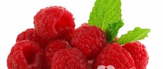 Raspberry leaves and fruits contain hormone-like substances that may be beneficial for PMS.