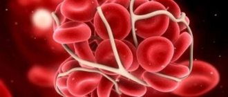 Small blood clots during early pregnancy