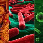 Pathogenic microorganisms