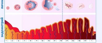 Влияние прогестерона на трансформацию эндометрия в лютеиновую фазу