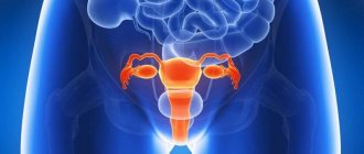 Inverted uterus: causes, features, diagnosis and treatment